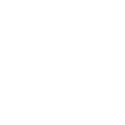Furious Gaming
