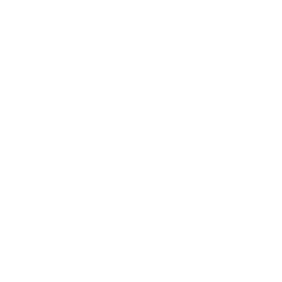 Dewish Team
