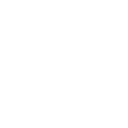 Team Liquid Honda First