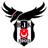 Beşiktaş Esports