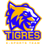 SDM Tigres