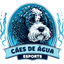Cães de Agua